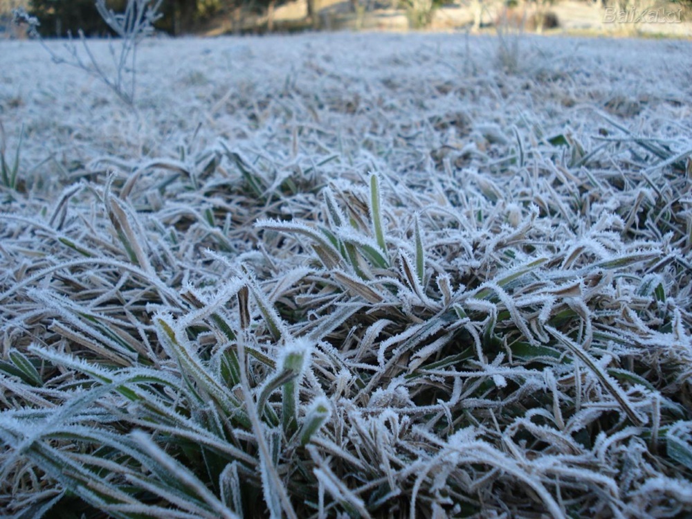 Ir para  <p>A madrugada desta ter&ccedil;a-feira foi de frio intenso no Rio Grande do Sul com m&iacute;nima de -2,7&ordm;C nos Aparados da Serra. Na Regi&atilde;o do Planalto e no Noroeste ga&uacute;cho tamb&eacute;m foram...